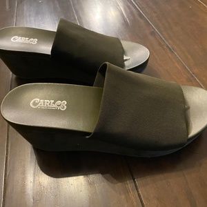 Carlos by Carlos Santana Debbi green slides